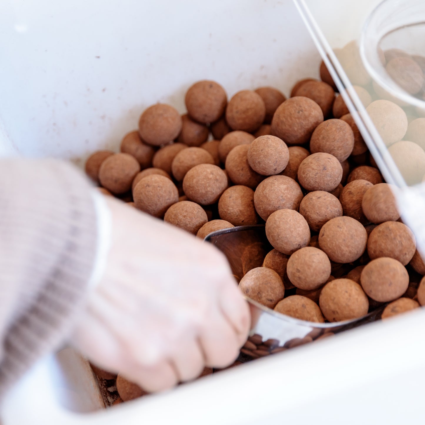 【冬季限定】ローストマカダミアナッツチョコレート