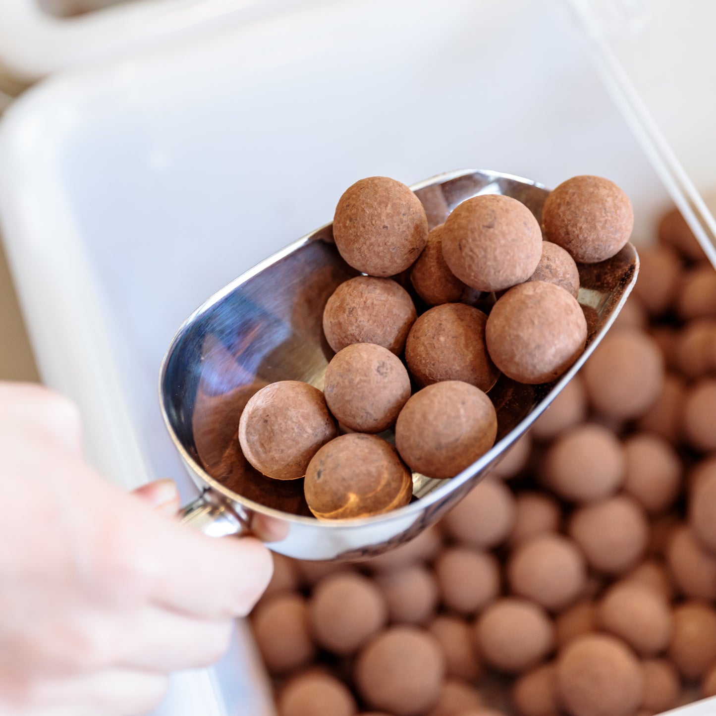 【冬季限定】ローストマカダミアナッツチョコレート