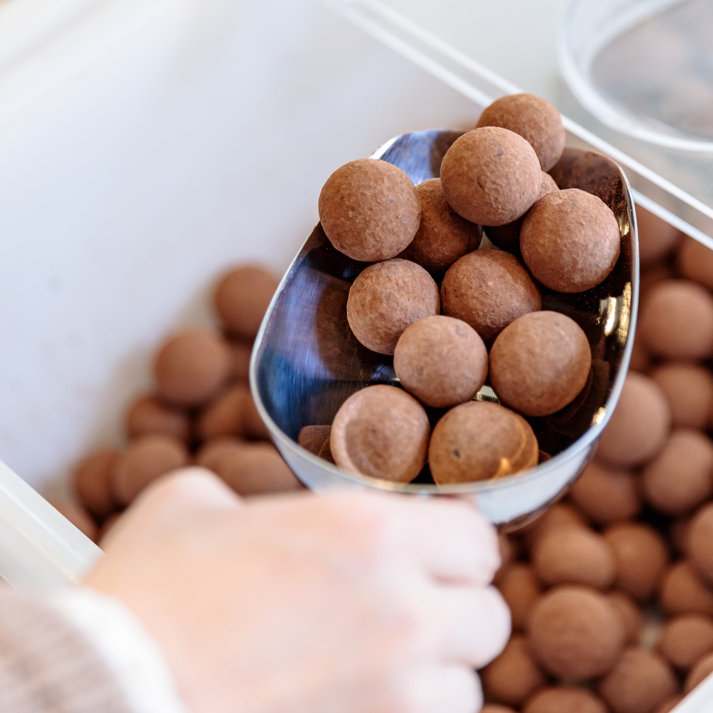 【冬季限定】ローストマカダミアナッツチョコレート